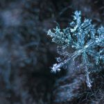 Photo of a single snowflake on a dark background